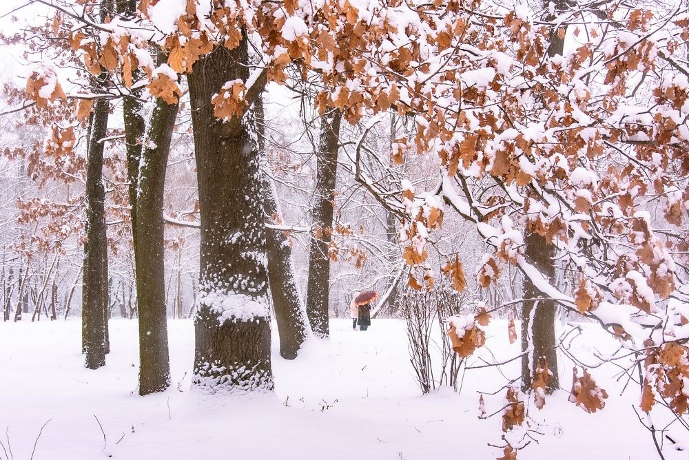 Photograph by Тамара Масло