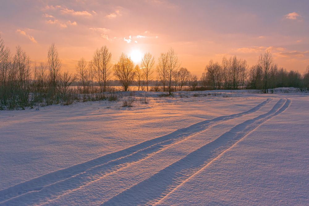 Photograph by Тамара Масло