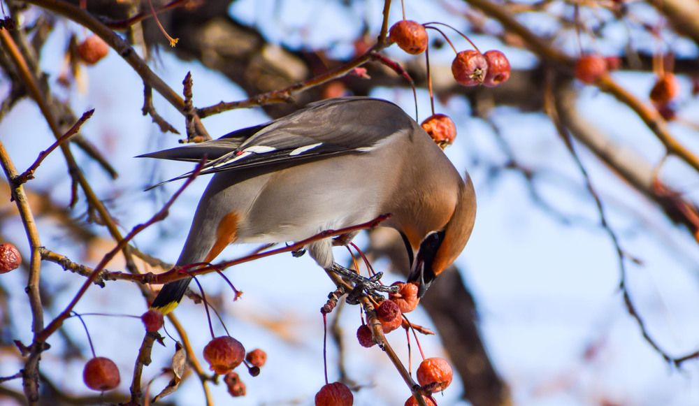 Photograph by Елена Манаева