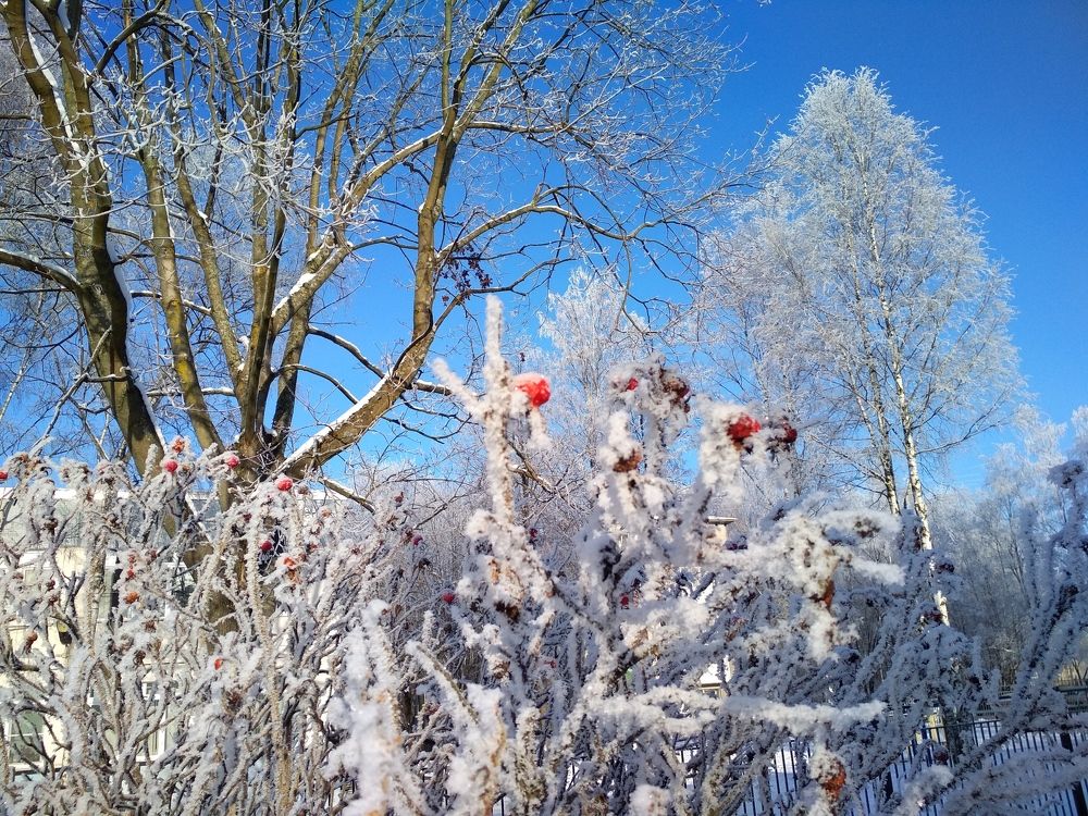 Photograph by ПЕТР ПУСТЫЛЬНИК