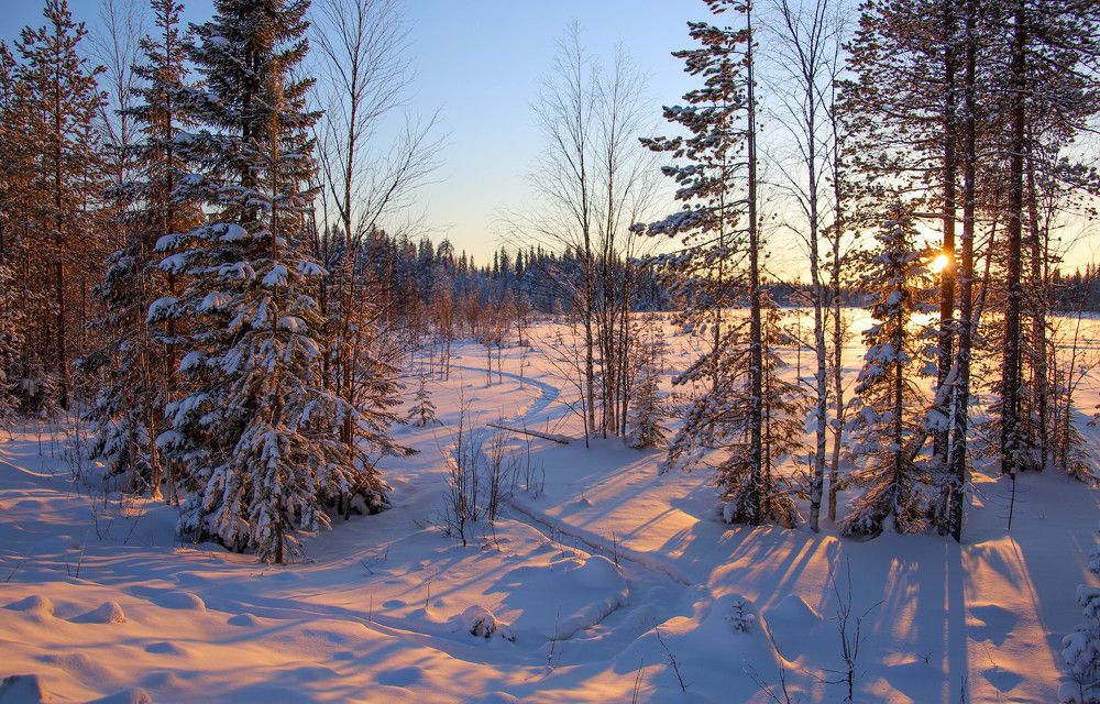 Photograph by Александр Трифанов