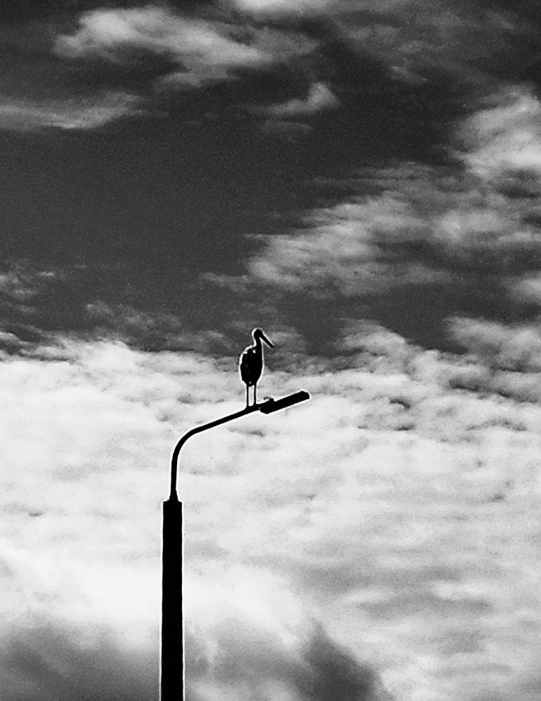 Photograph by Александр Бородин