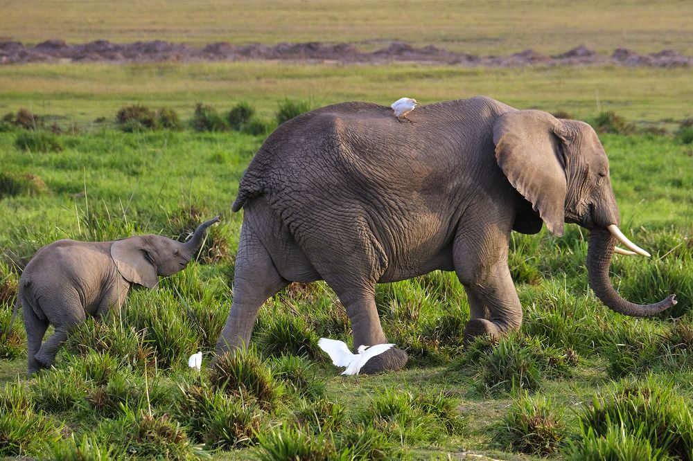 Photograph by Ирина Худзинская