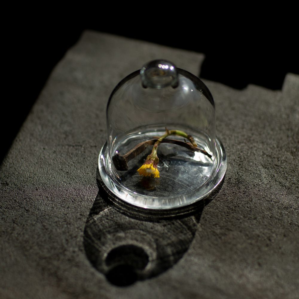 Photograph by Алла Оборина