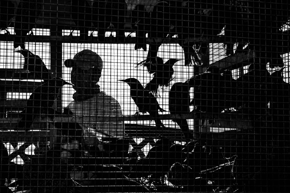 Photograph by Mukhald Alkureshe