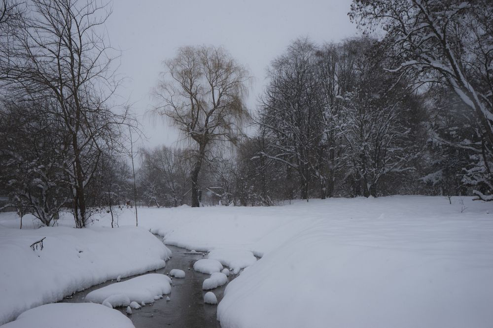 Photograph by Виктор Зотов