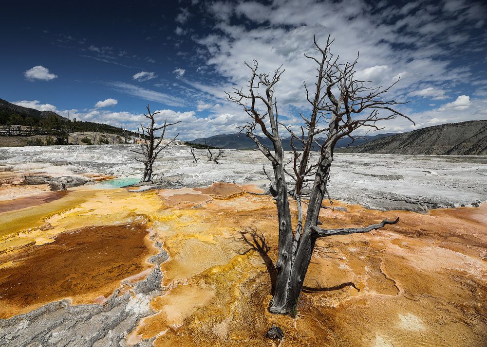 Photograph by Lana Anferow