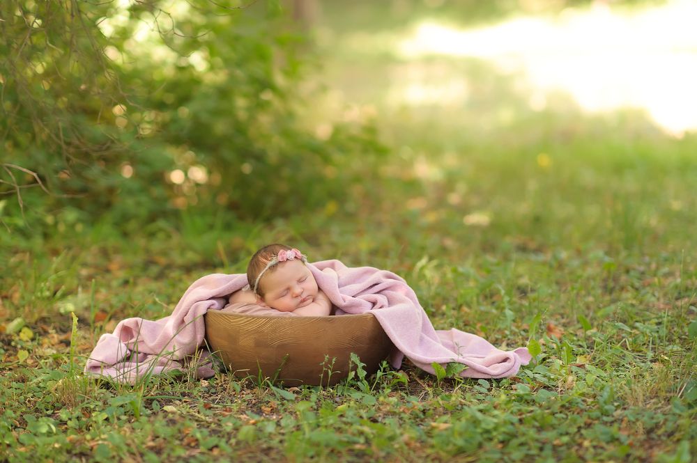 Photograph by Денисенко Катя