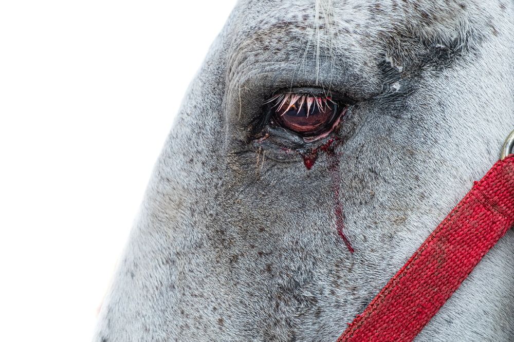 Photograph by Mukhald Alkureshe