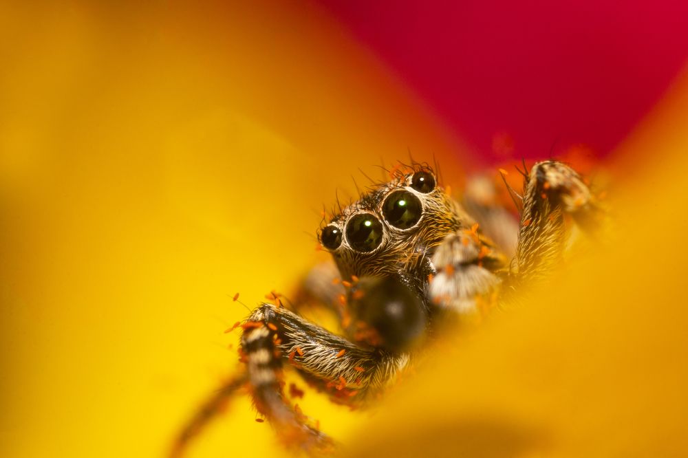 Photograph by Людмила Гудина