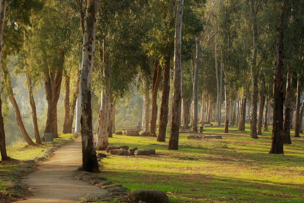 Photograph by Дмитрий Куркулин