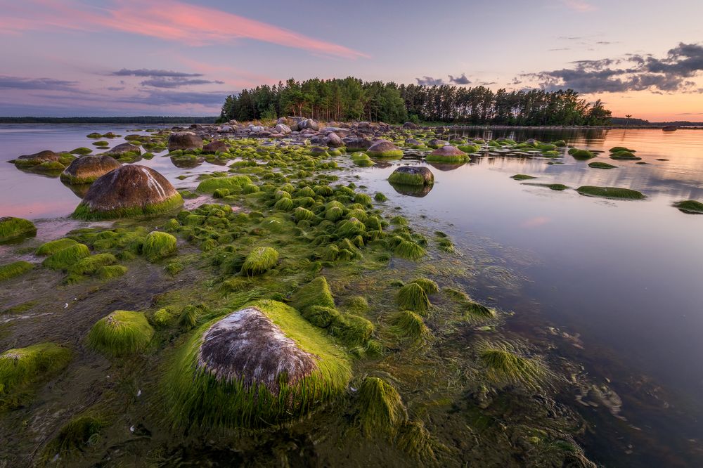 Photograph by Элвис Антсон