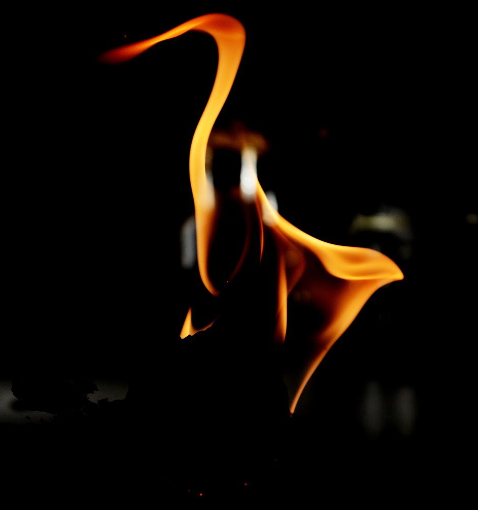 Photograph by Oksana Tkachenko