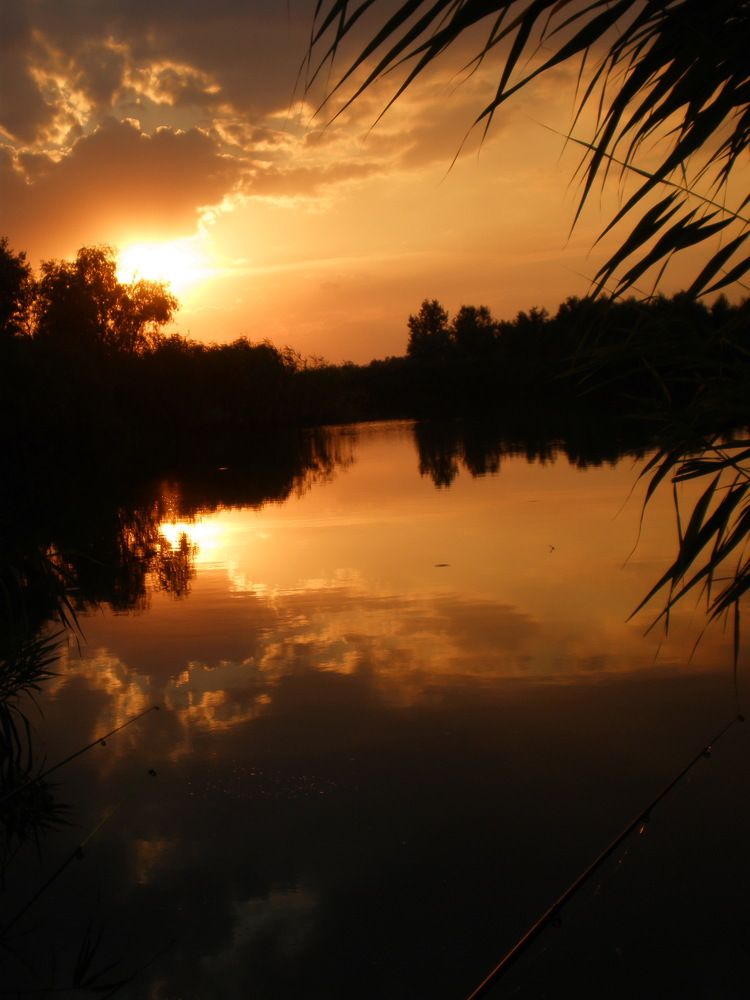 Photograph by Oksana Tkachenko