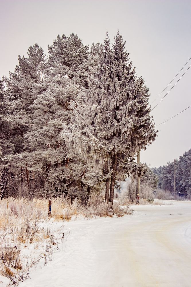 Photograph by Екатерина Бочарова