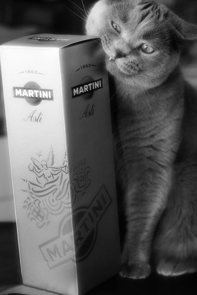 Photograph by Константин Лагоденко