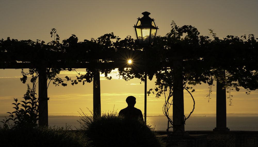 Photograph by Мария Григорьева