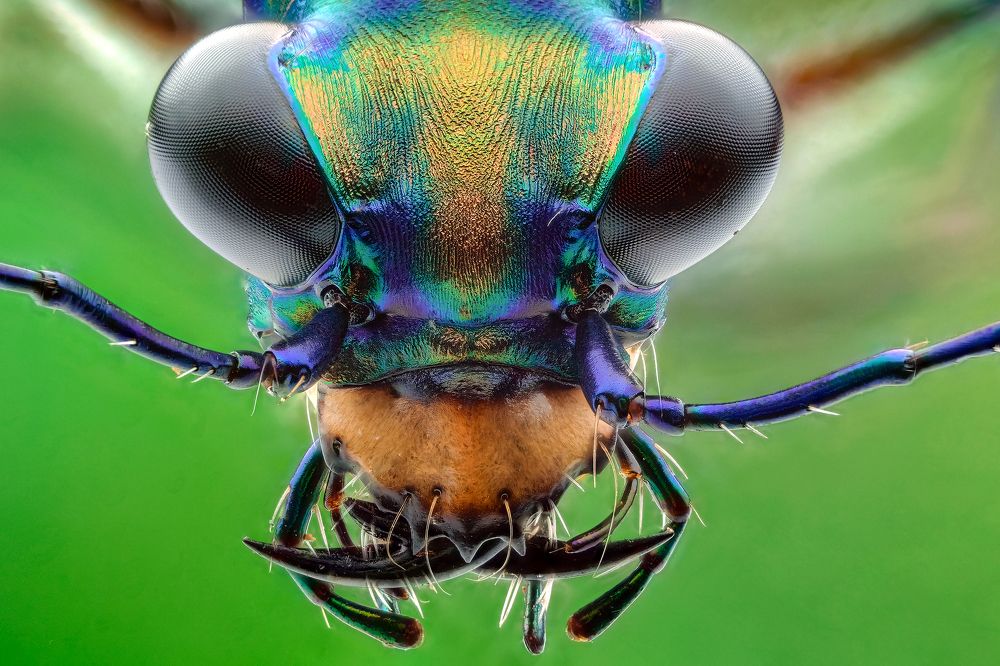 Photograph by KAIYEN LEE