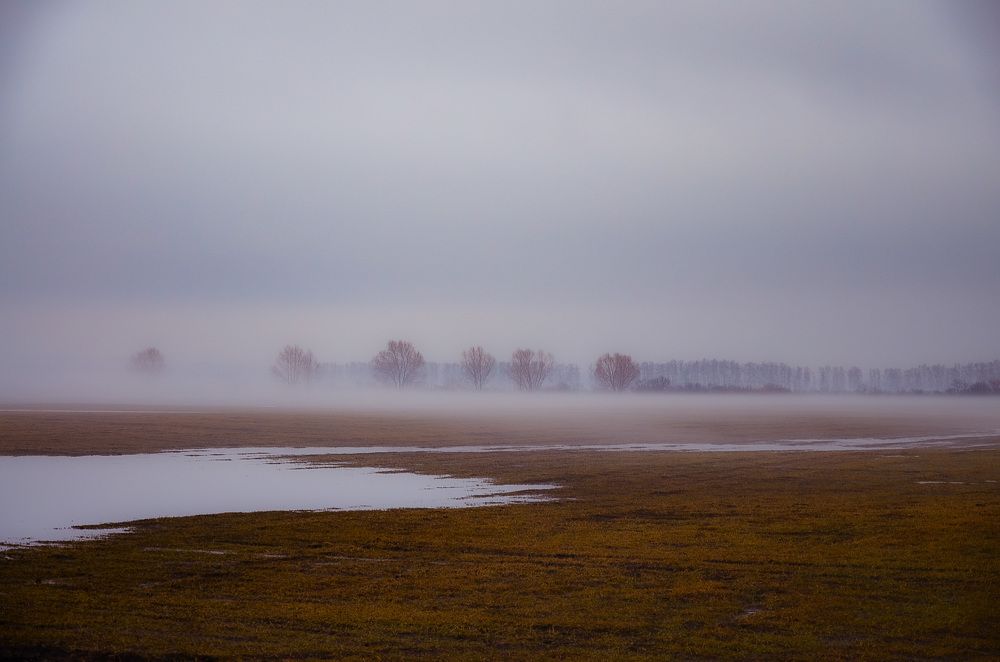 Photograph by Ольга Мукина