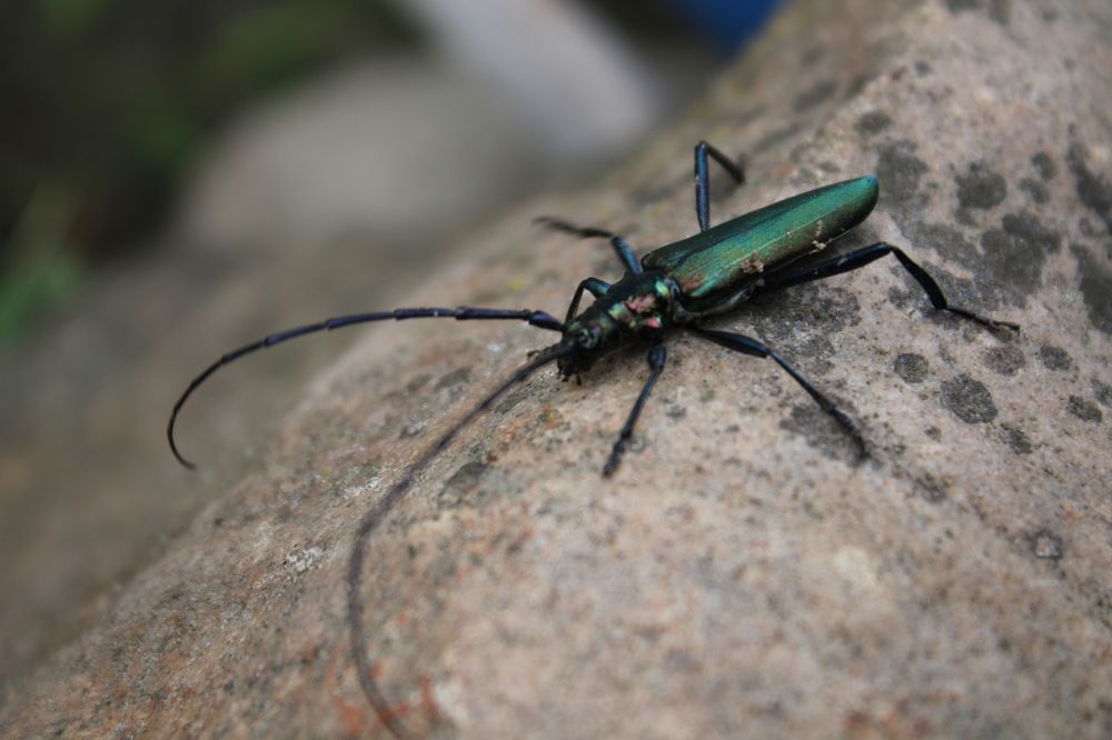 Фотография автора Никита Гутор