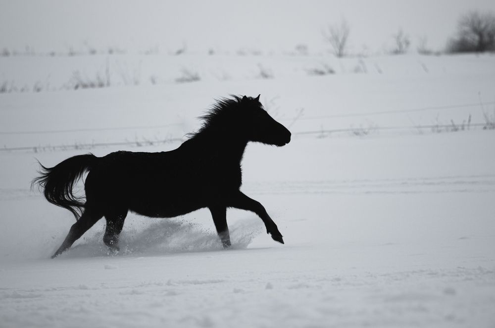 Photo #5767407