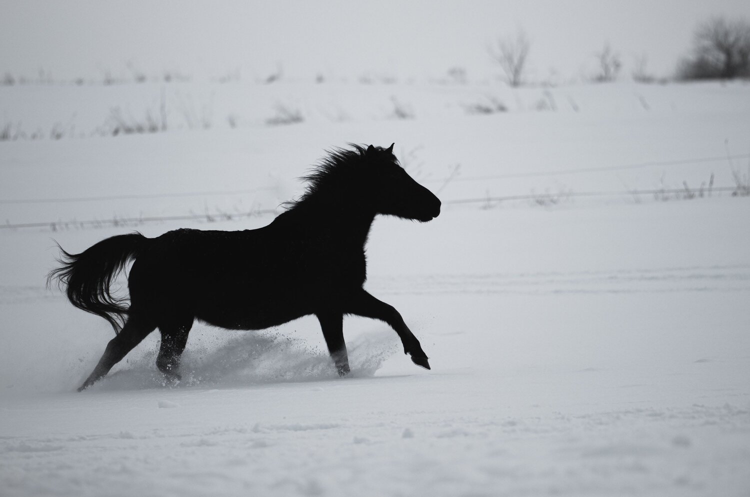 Photo #5767407
