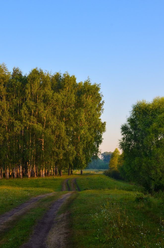Родные просторы.
