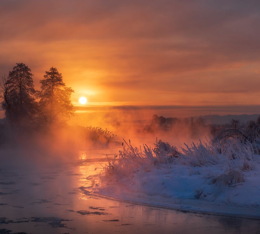 Go to the light, my friend