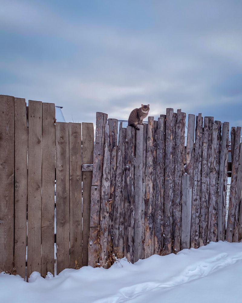 Деревенский.