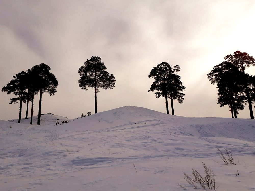 Photograph by Ирина Пичугина