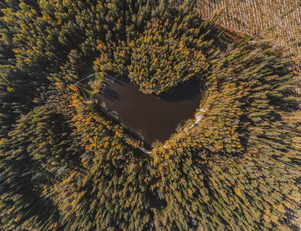 Photograph by Анастасия Юсова