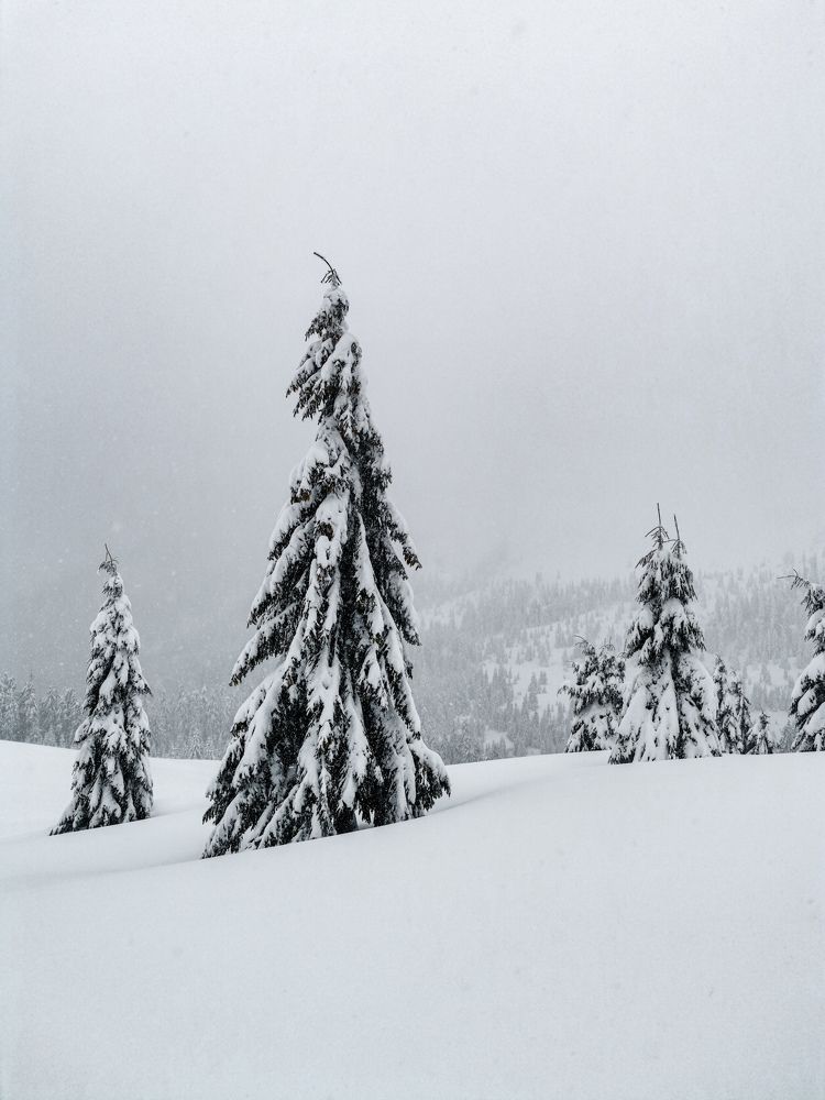 Photograph by Владимир Дихтенко