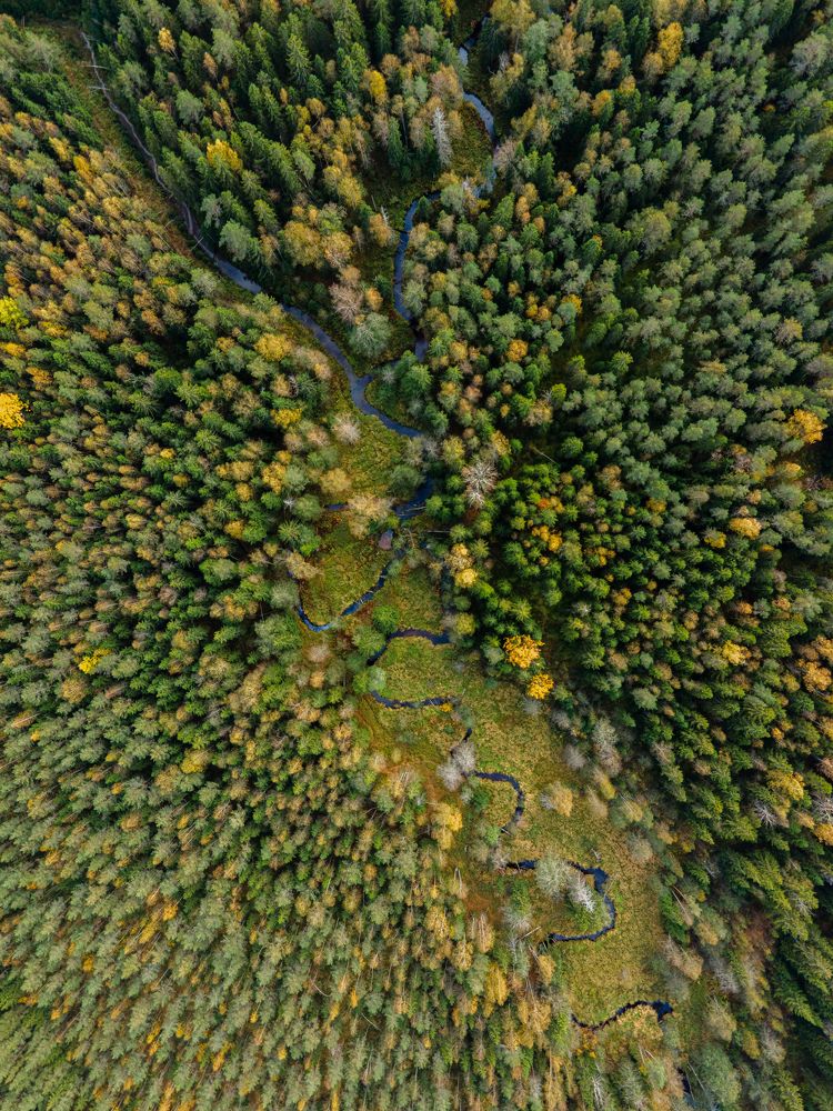 Photograph by Анастасия Юсова