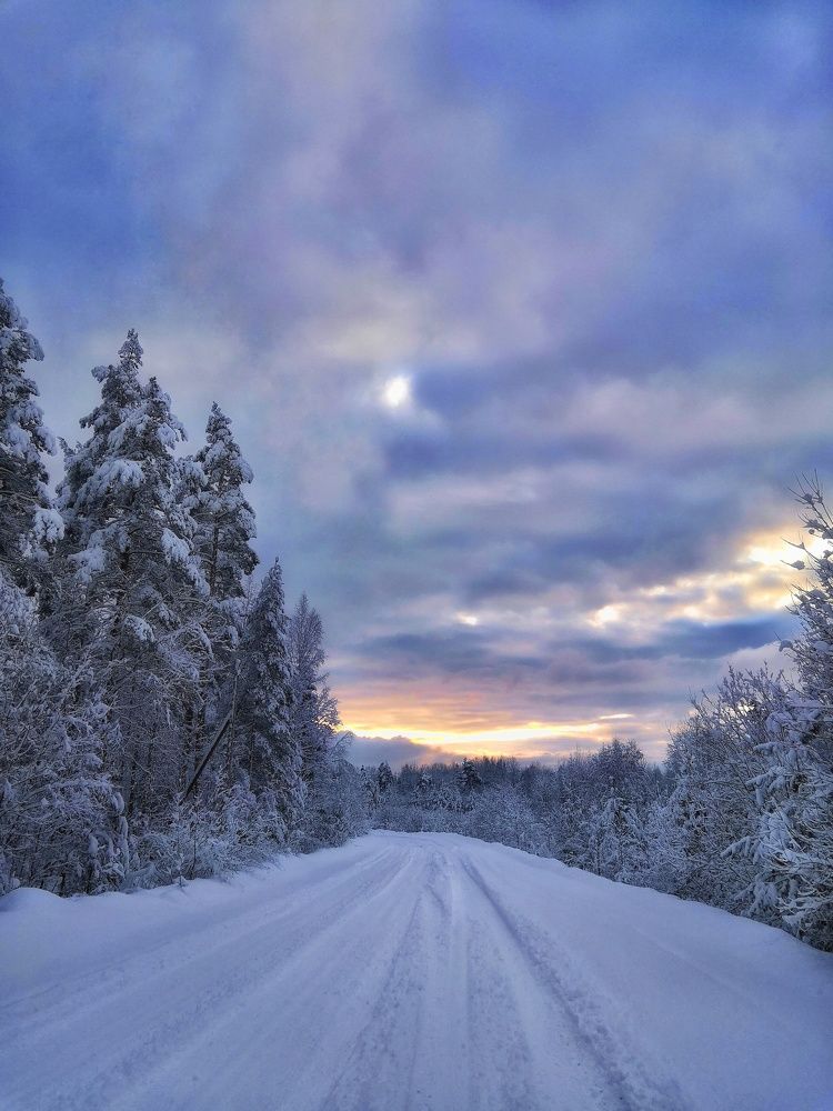 Фотография автора Галина Павлова