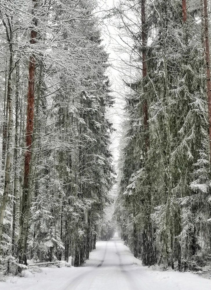 Фотография автора Галина Павлова