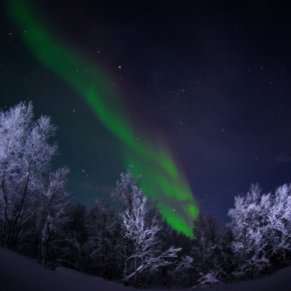 Photograph by  Александр