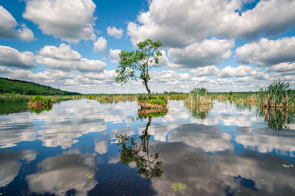 Фотография автора Андрей [Seencleyr] Чуяшенко