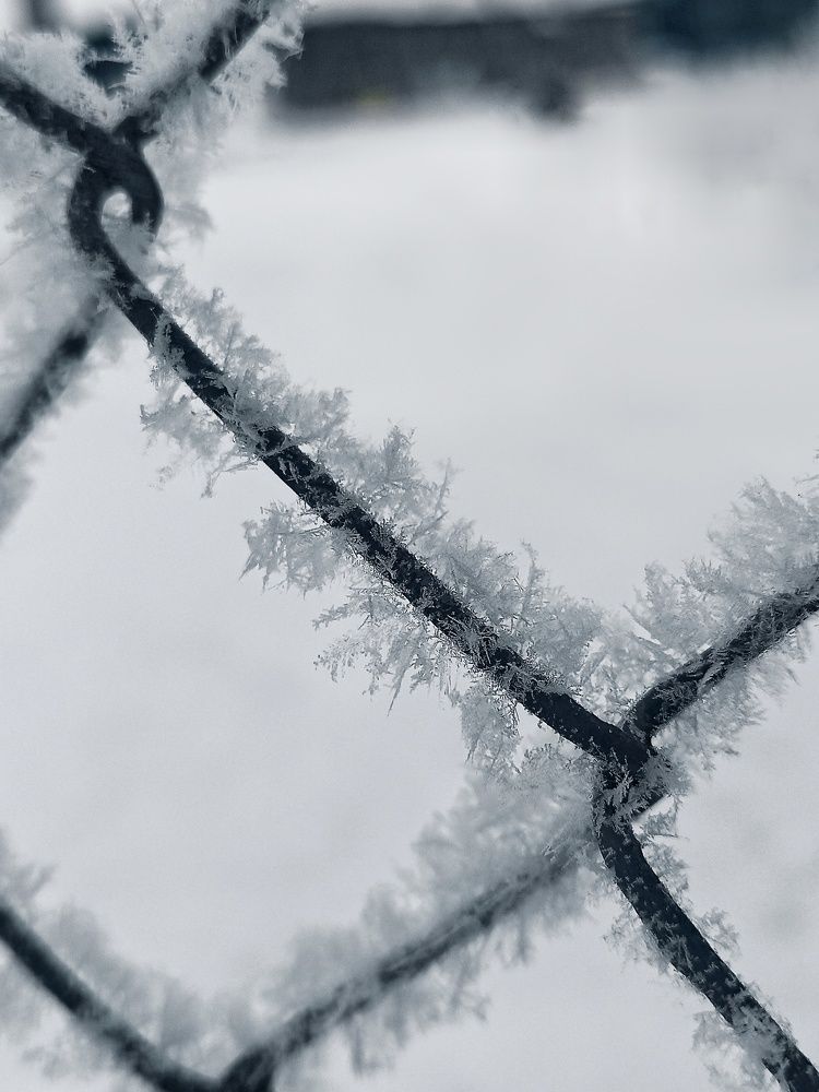 Photograph by Максим Лапин