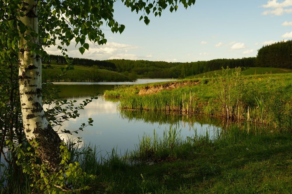 Photograph by Николай Зиновьев