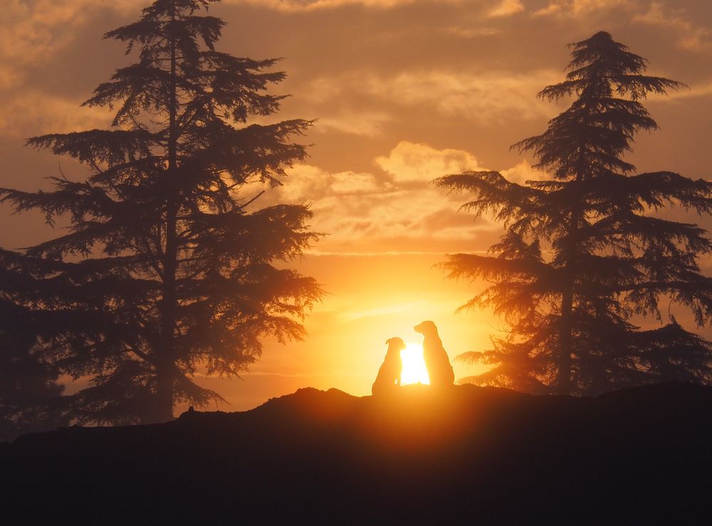 the first lights of the morning