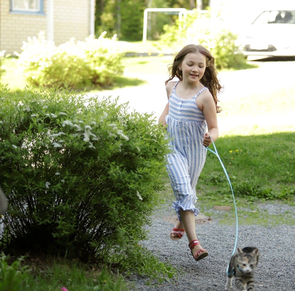 Photograph by Алексей Плясунов