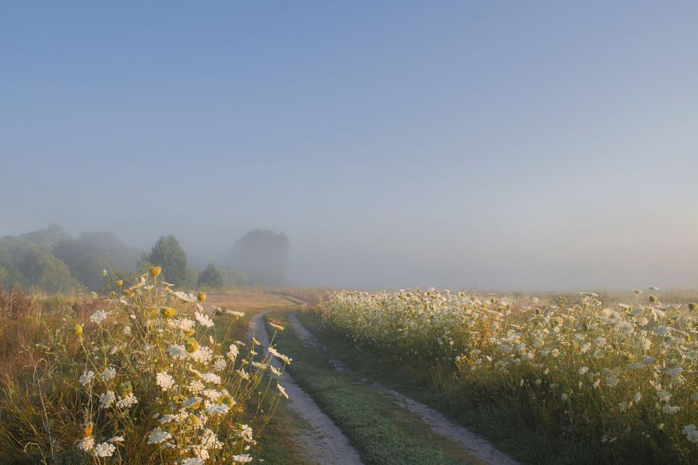 Photograph by Оксана Ильченко