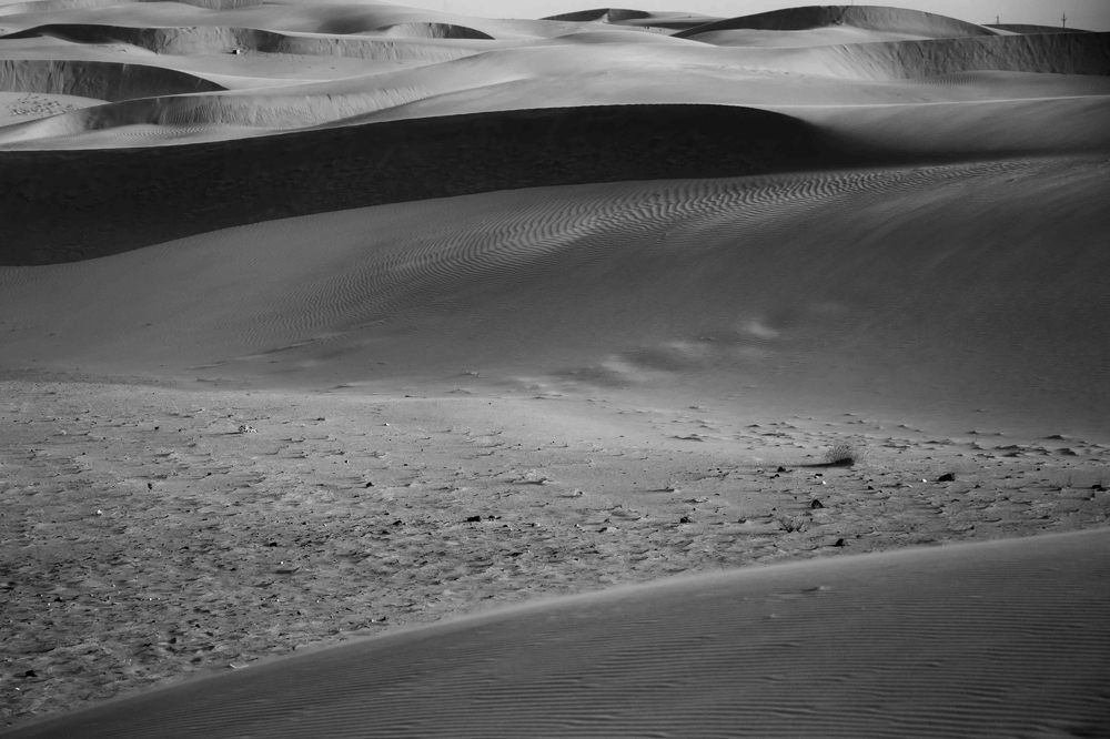 Photograph by Dhyanesh Dev