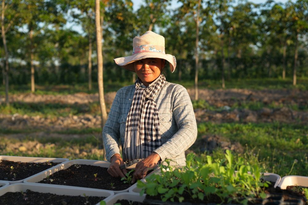 Photograph by Arik S Mintorogo