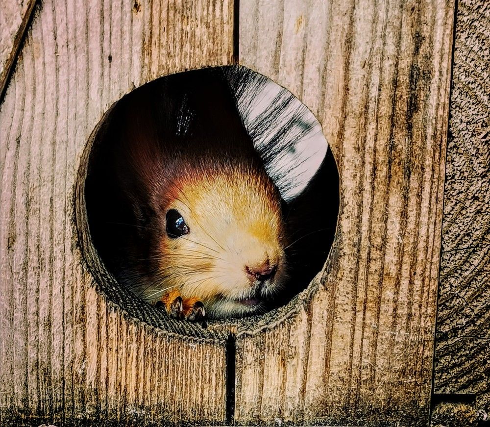 Photograph by Иван Белянин