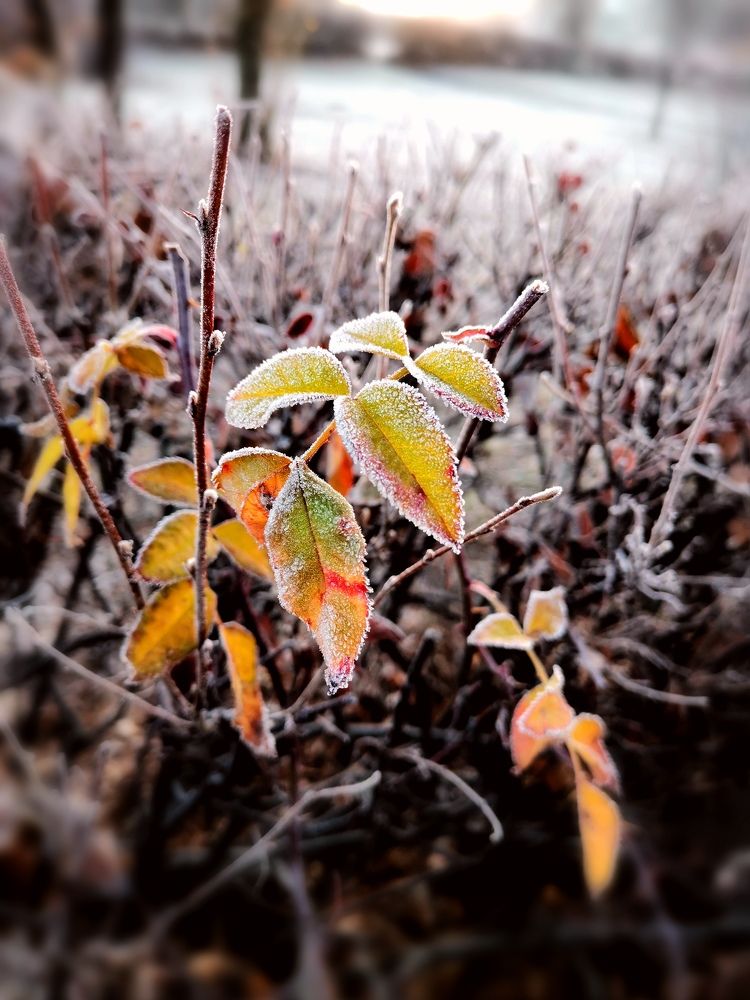 Photograph by Иван Белянин