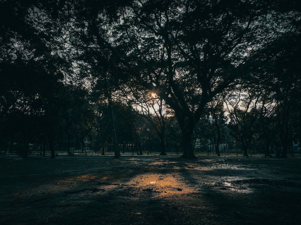 Photograph by Shumi Noor