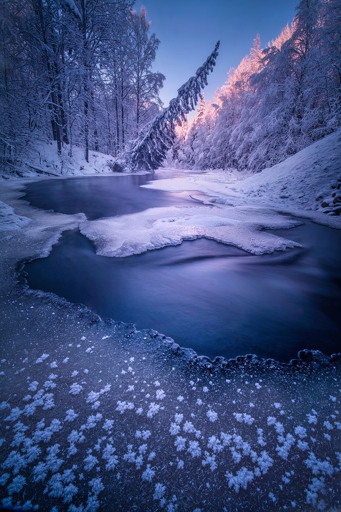 Photograph by Елена Ермолина