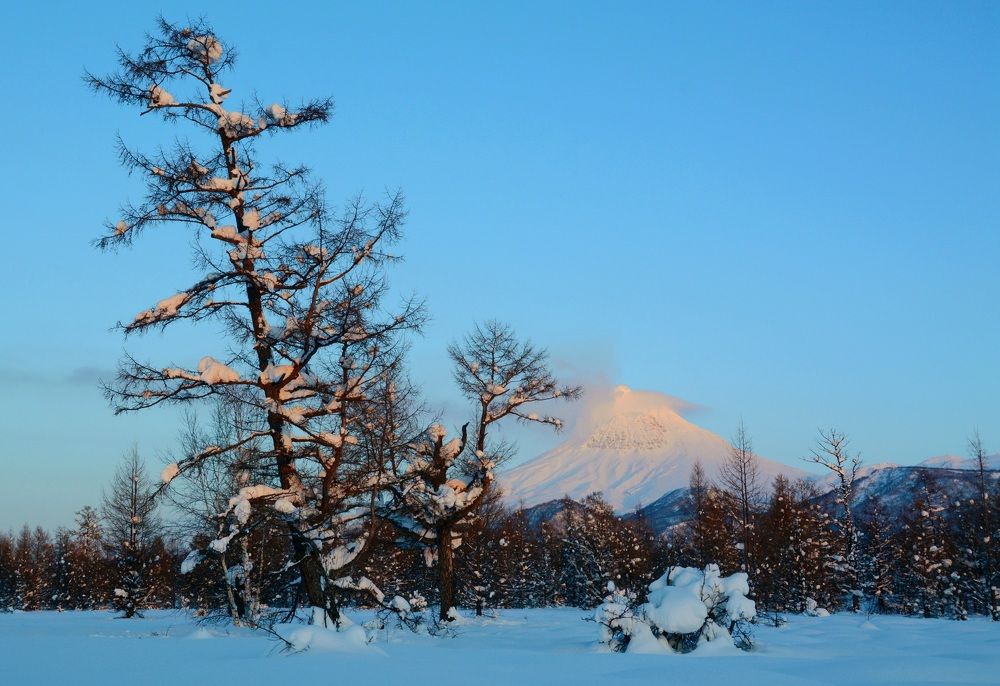 Photograph by Раиса Басова