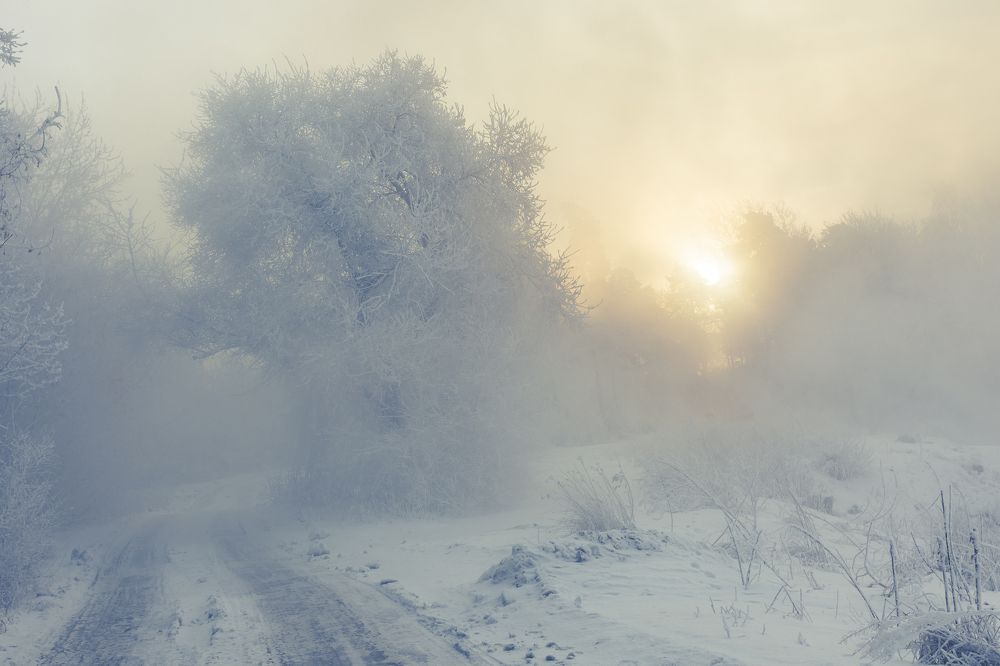 Photograph by Алексей Кузьмин